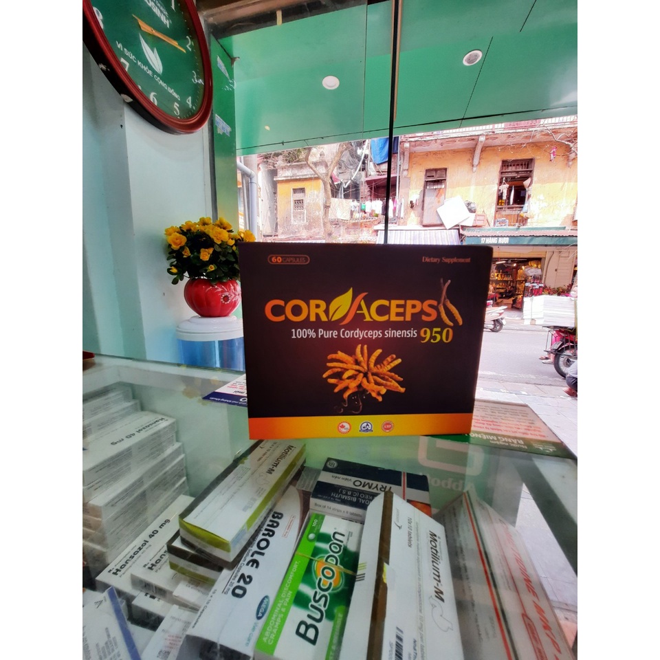 Viên đông trùng hạ thảo Cordaceps 950 giảm suy nhược hộp 90 viên - Chính Hãng Canada