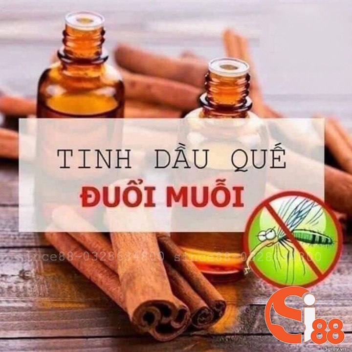 Nước Lau Sàn Thảo Dược Hương Quế Loại 3L Mẫu Mới - Tinh Dầu Quế Lau Nhà 3 in 1 Đuổi Muỗi GD112