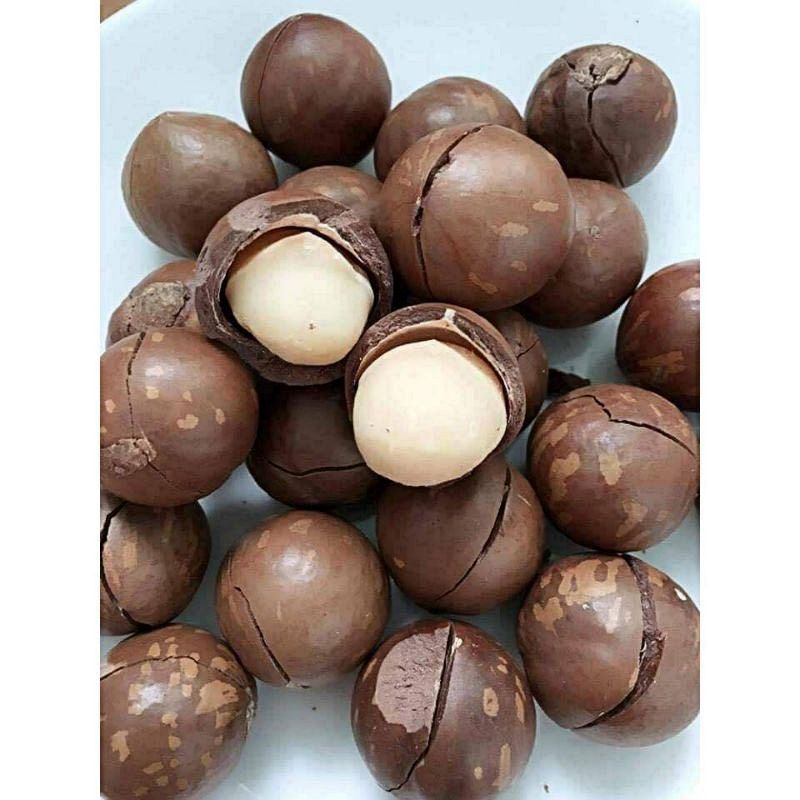 Hạt macca Úc vỏ nứt tự nhiên