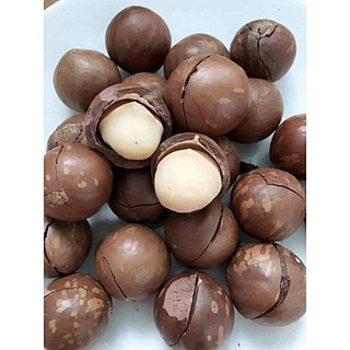 Hạt macca Úc vỏ nứt tự nhiên (tặng đồ tách)