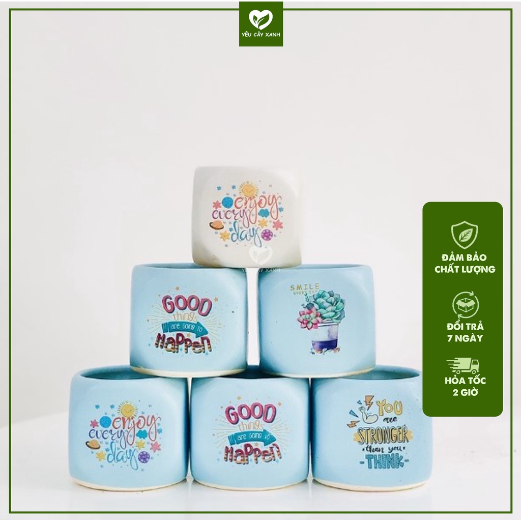 Chậu xí ngầu trồng sen đá, xương rồng, cây để bàn mini