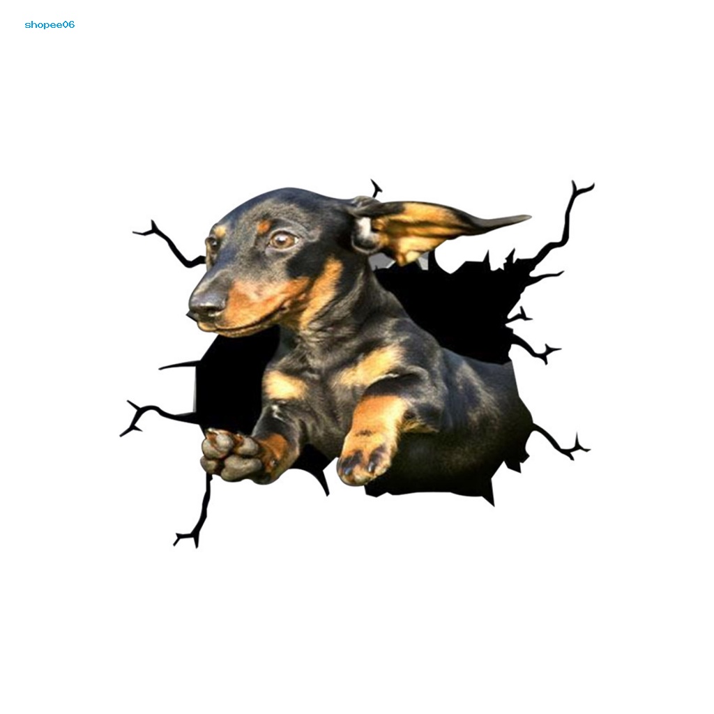 Đề Can Dán Trang Trí Xe Hơi Họa Tiết Đôi Mắt Động Vật 3D Vui Nhộn