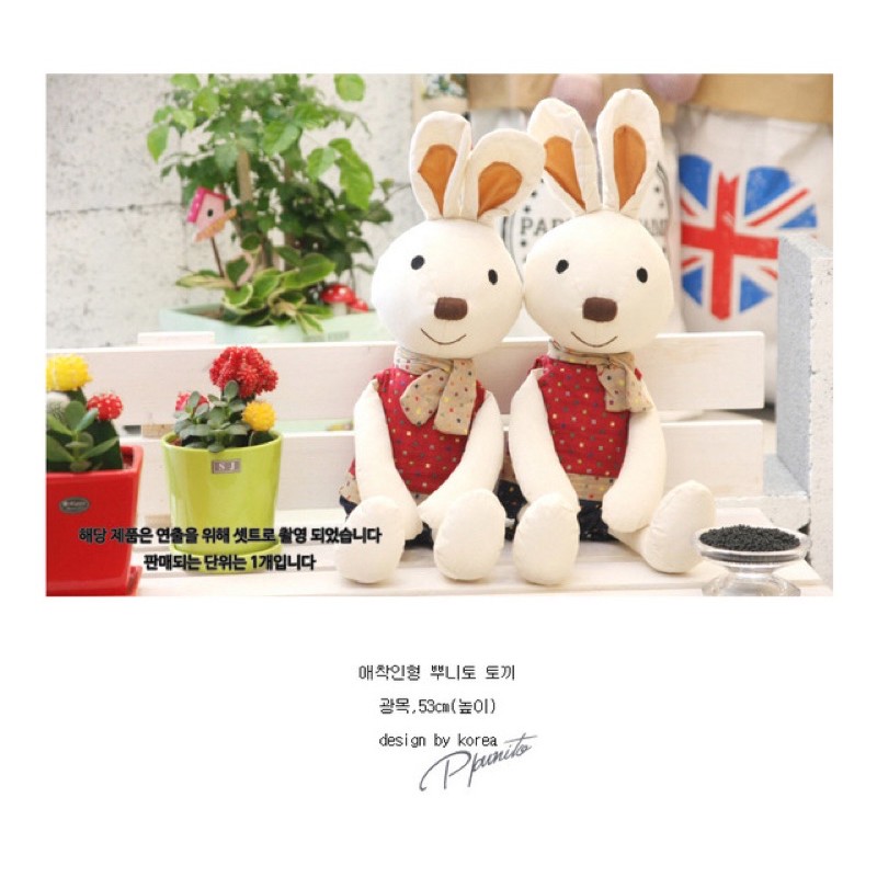 Thỏ ogarnic hiệu Hàn đáng yêu