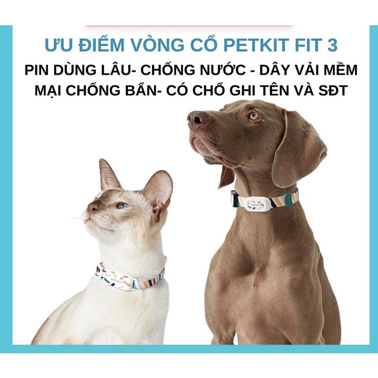 Vòng cổ Petkit cho chó mèo theo dõi sức khỏe Fit 3  bảo hành 12 tháng