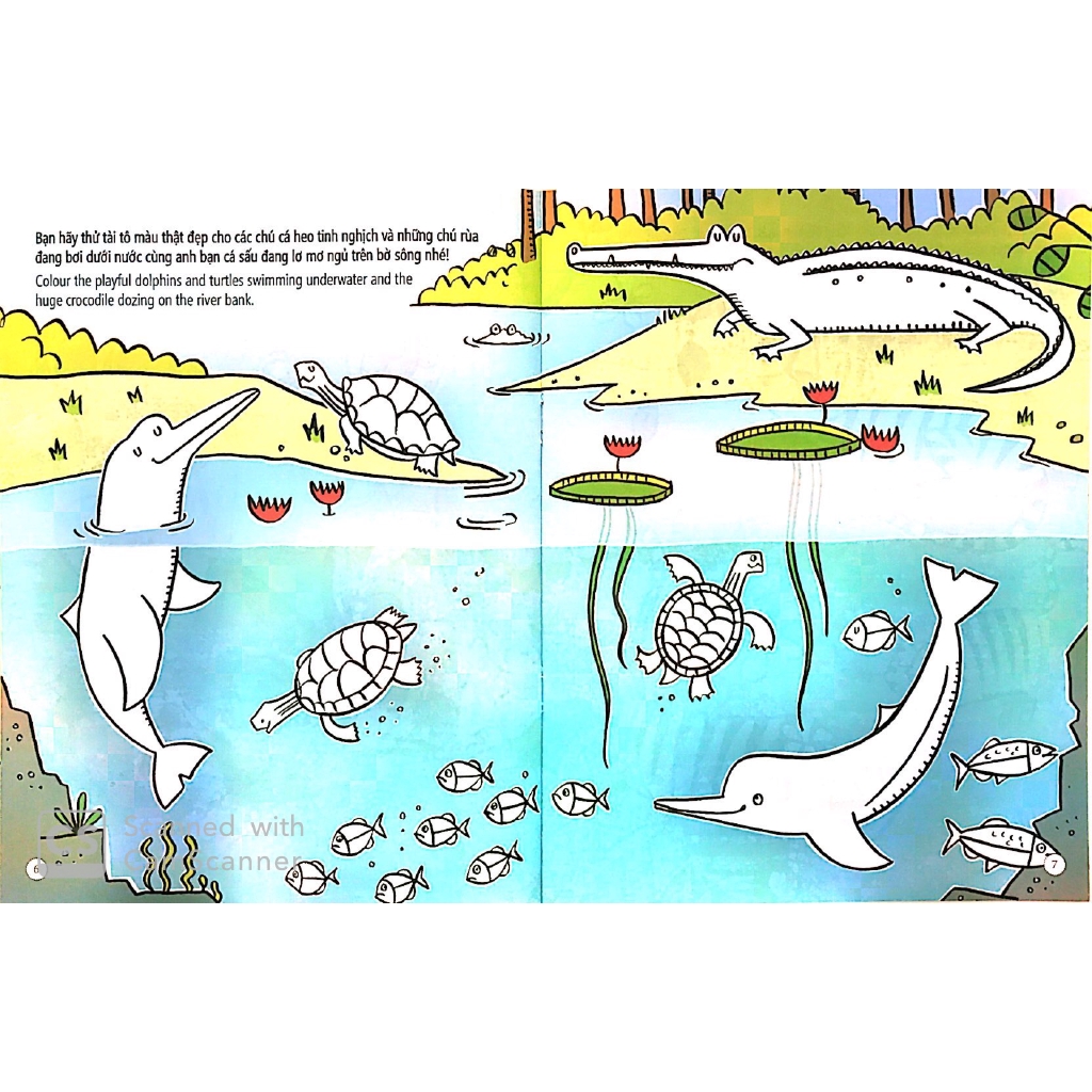 Sách - Tô Màu Bóc Dán - Rừng Nhiệt Đới - Jungle