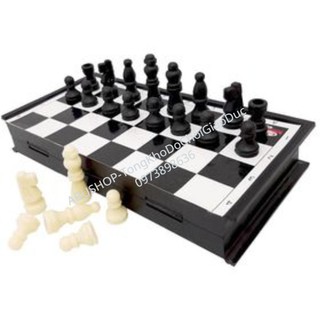 Bộ cờ vua 🐷FREESHIP🐷 Cờ vua nam châm cao cấp, trắng đen, Đồ chơi trí tuệ cho bé và gia đình [do choi] 7