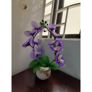 combo  vải voan nguyên liệu