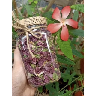 Trà hoa sâm bố chính