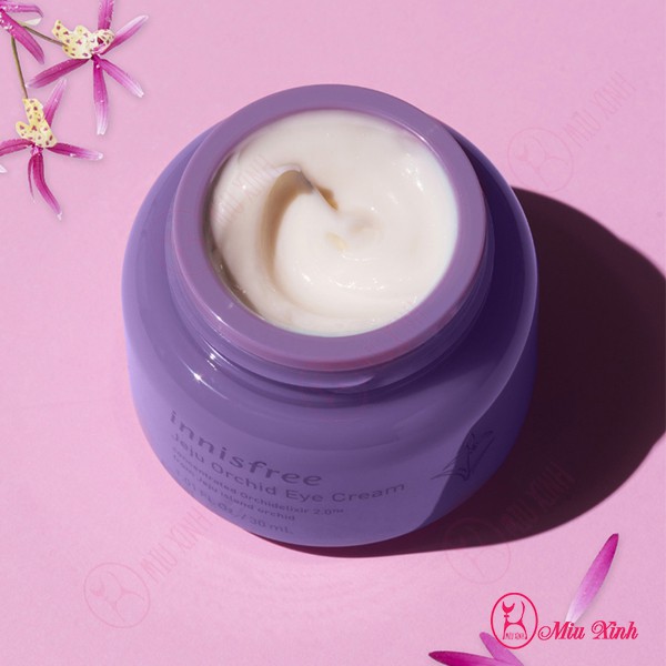 KEM DƯỠNG MẮT [INNISFREE] Jeju Orchid Eye Cream 30ml