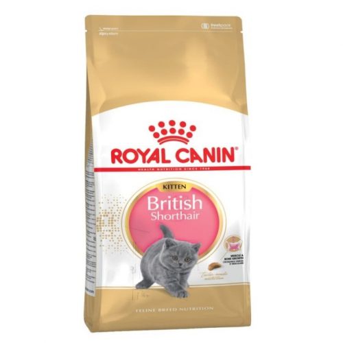 Hạt cho mèo con Anh lông ngắn Royal Canin British Shorthair Kitten 400g