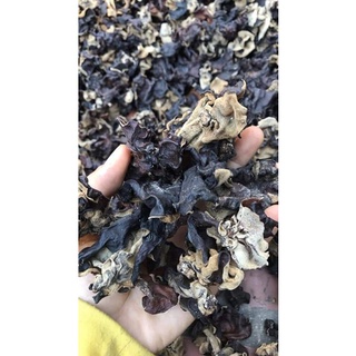 Mộc nhĩ rừng (nấm Tai Mèo)