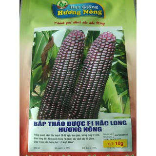 Hạt giống Bắp Thảo Dược f1 Hắc Long 10g
