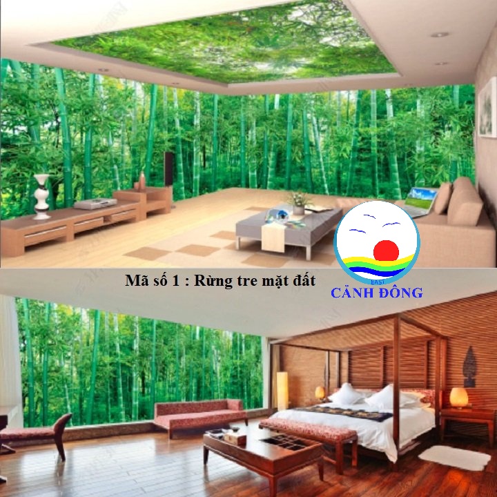 Giấy dán tường rừng tre trúc xanh mát đẹp mắt sẵn keo dán trên kính, gỗ