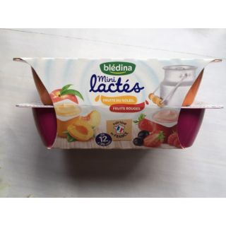 SỮA CHUA BLEDINA PHÁP CHO BÉ 6+