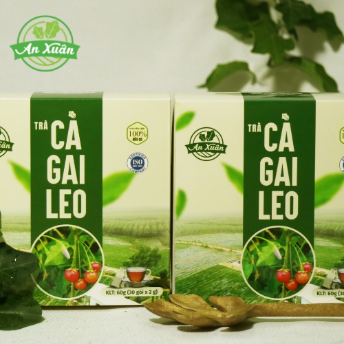 SET TRÀ TÚI LỌC CÀ GAI LEO GIẢI ĐỘC GAN ANXUAN[ CHÍNH HÃNG- ORGANIC] - Mát gan, giải độc gan, thanh nhiệt cơ thể