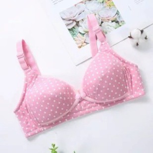 Áo Ngực Cho Con Bú Mở Nút Phía Trước Hàng Quảng Châu Cao Cấp