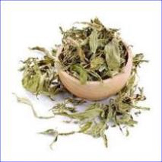 100gr trà cỏ ngọt khô hàng thượng hạng tdv192