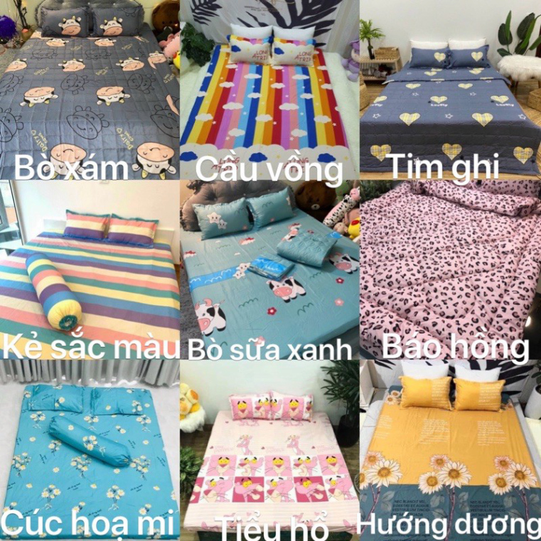 Bộ 1 Ga chun và 2 vỏ gối Cotton poly, chat chọn mẫu. | BigBuy360 - bigbuy360.vn