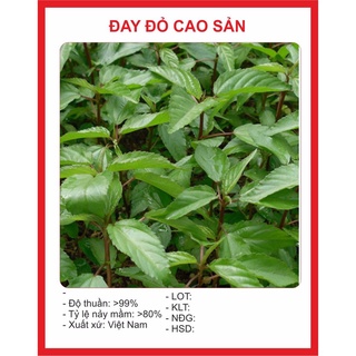 Hạt giống rau Đay Đỏ 10gram hạt giống bốn mùa