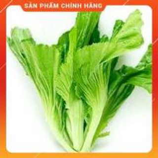 HẠT GIỐNG CẢI BẸ DƯA CAO SẢN