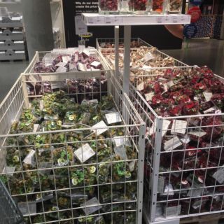 🌼 Túi hoa khô thơm IKEA DOFTA 60G
