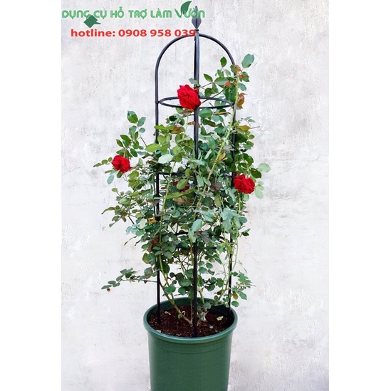 Khung cho hoa hồng leo của Nhật cao 210cm có 3 vòng đỡ cây đường kính 41cm màu đen