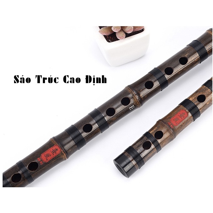 Sáo Dizi Trúc Tím TT03 l Sáo Dizi cao cấp thương hiệu Xi Feng | Sáo trúc Cao Định phân phối chính hãng