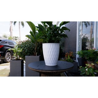 Bộ 4 Chậu Nhựa Trồng Cây Mắt Lưới Tròn Giả Sứ Cao Cấp (38x46x25cm) Trồng Cây Cảnh, Hoa Kiểng, Cây Văn Phòng - Hàng VNXK