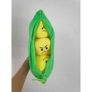  Gấu bông hạt đậu- túi đậu ngộ nghĩnh 