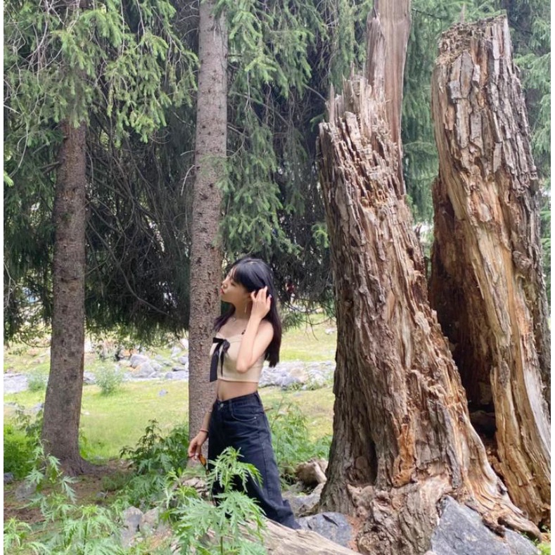 ÁO FORM COTTSETE FORM SIÊU XINH