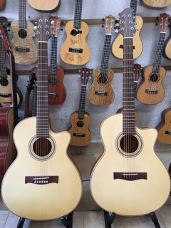 Đàn Guitar  Acoutic HD-150