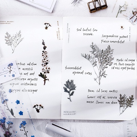 Sticker Chủ Đề Hoa Lá - Đế trong suốt - Trang trí sổ - Dán lọ hoa trong, dán ốp điện thoại