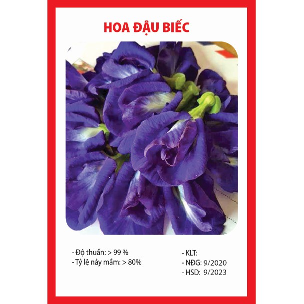 Hạt Giống Hoa Đậu Biếc Cánh Kép