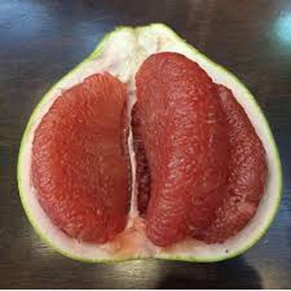 cây bưởi ruột đỏ rubi thái lan