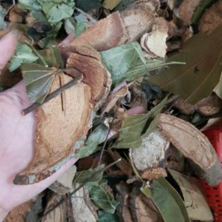 LÁ TẮM SAU SINH CỦA NGƯỜI DAO ĐỎ