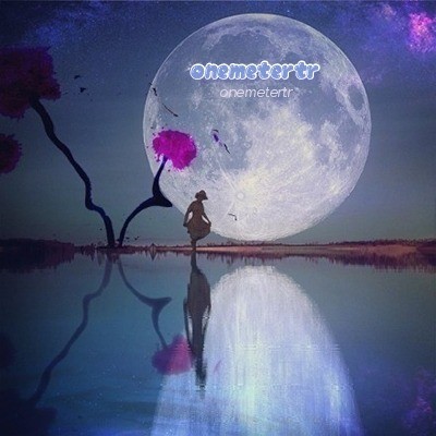 OneMetertr.vn