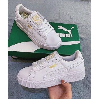 Giày puma dành cho cả nam và nữ