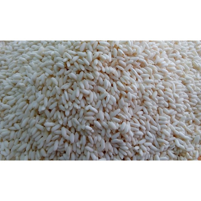 Gạo Nếp bắc