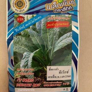 Hạt giống cải kale laci