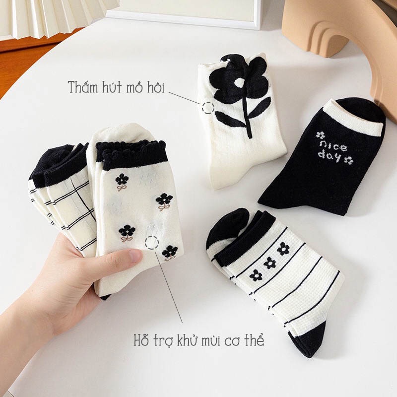 Tất vớ cổ cao chất liệu cotton co giãn bốn chiều, set tất vớ họa tiết dễ thương - Sope Shop