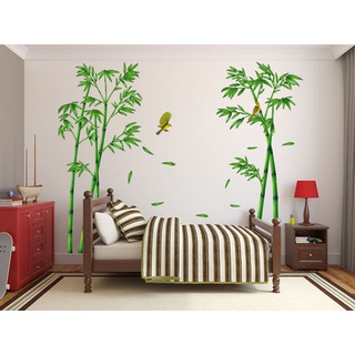 Decal dán tường tre xanh