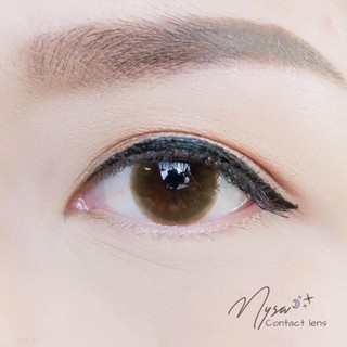 Kính Áp Tròng CHADA GRAY - BROWN ( contact lens )