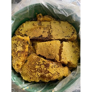 Mật ong rừng Tây bắc