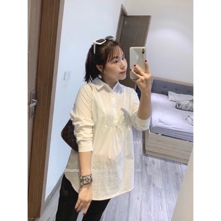 Áo bầu sơ mi trắng công sở