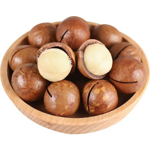 Hạt Maccadamia nguyên vỏ (500gr)