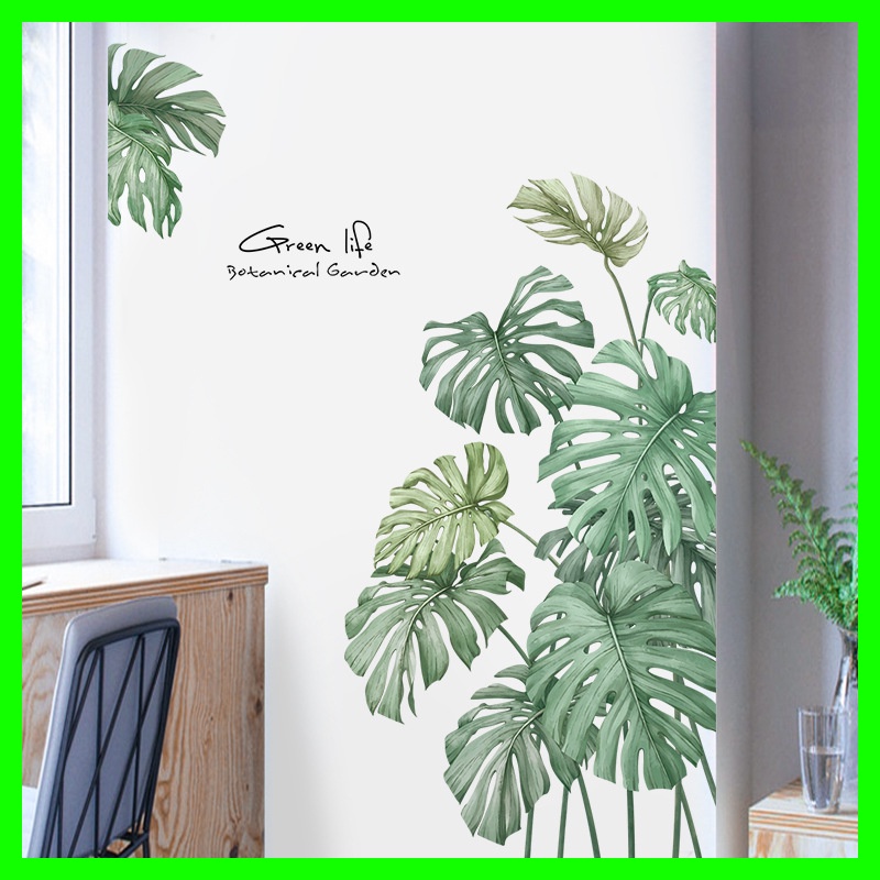 Decal dán tường cây lá nhiệt đới