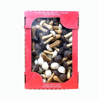 Bánh quy nấm socola của Nga