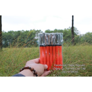 Bộ xúc đỏ , bộ xúc hoa cà rốt