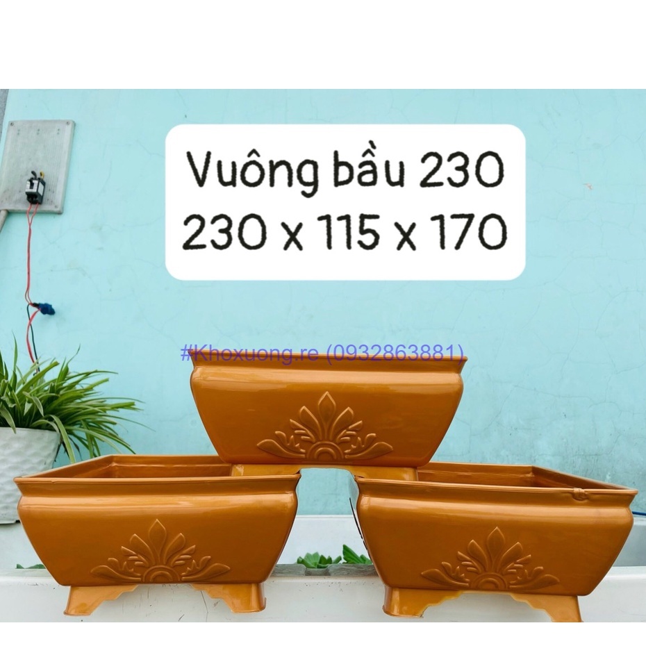 Chậu Hoa, Chậu Bonsai, Chậu Vuông Dáng Lùn, Chậu Vuông Dáng Cao, Chậu Sen Đá, Chậu Nhựa 4 Chân Cao, Chậu Hoa Chưng Tết