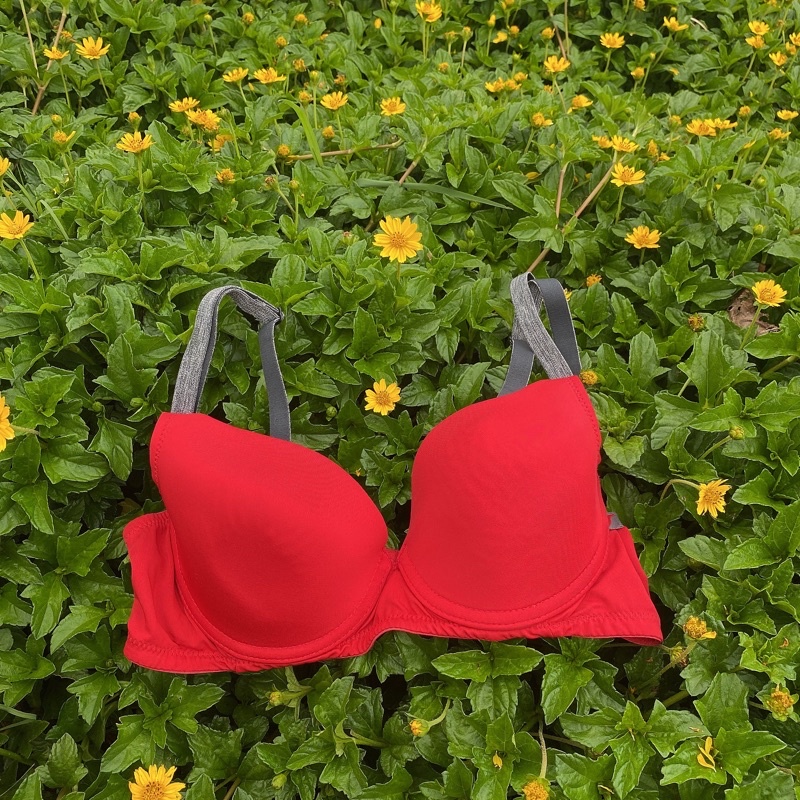 [ Si tuyển] Áo ngực Hàn Size 75C